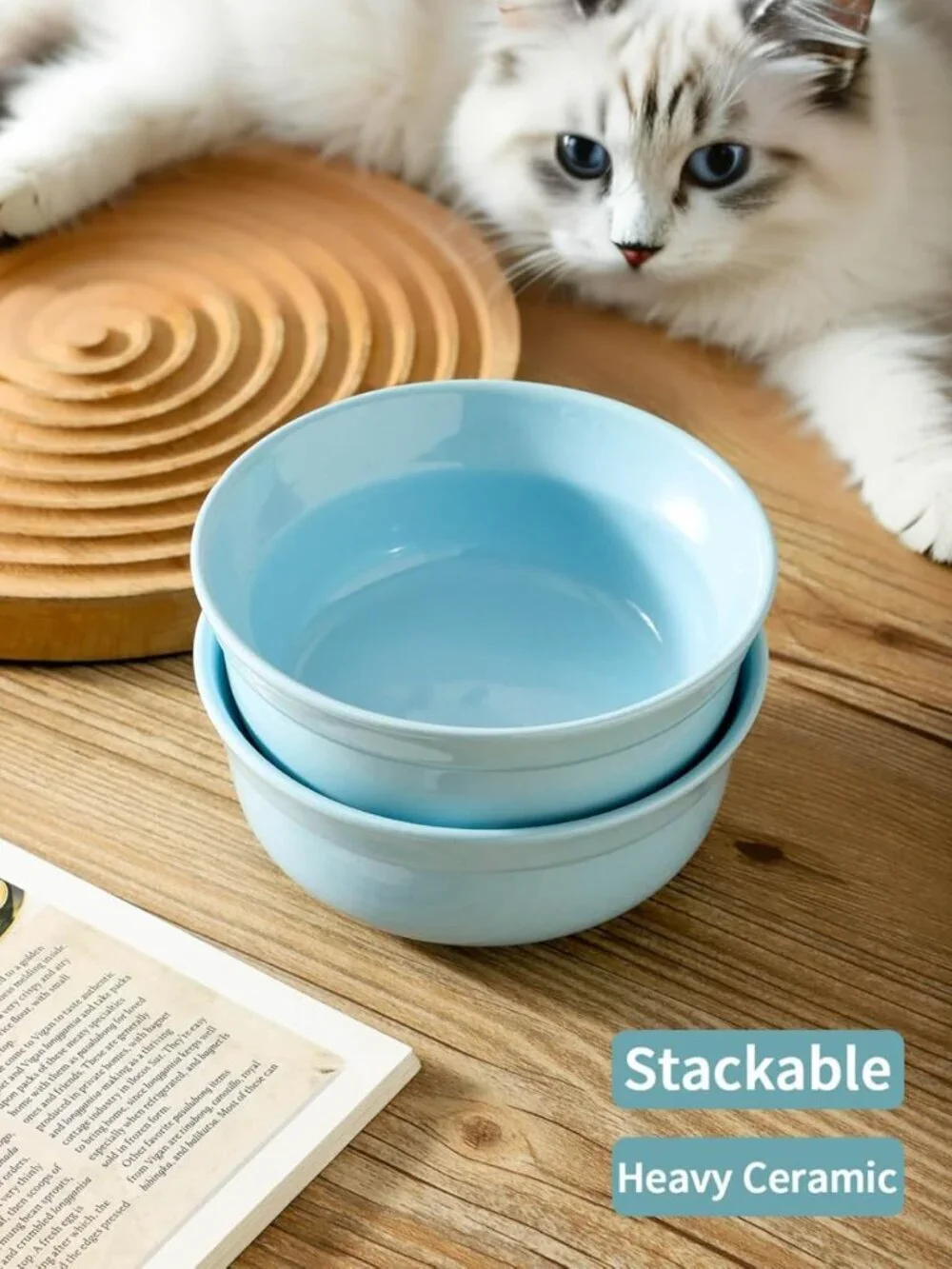 Blue Ceramic Dog Bowl Set - 5.3 Inch Cute Porcelain Cat & Dog Feeding Bowls